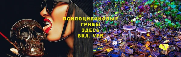 apvp Алексин