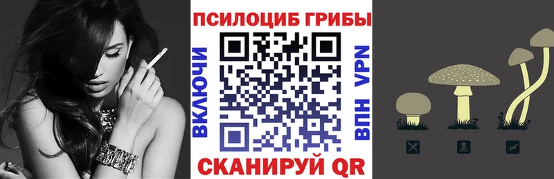 Галлюциногенные грибы Cubensis  Юрьев-Польский 